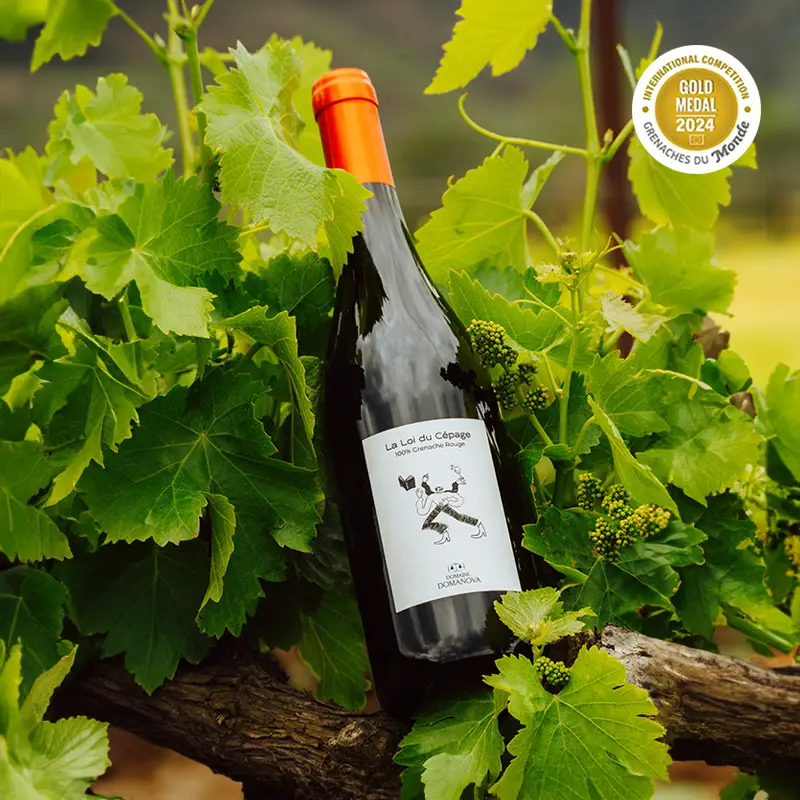 cuvée loi du cépage grenache, vin rouge du roussillon, domaine domanova